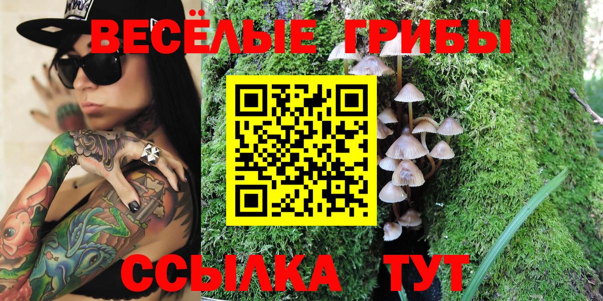 Псилоцибиновые грибы Psilocybine cubensis Ханты-Мансийск